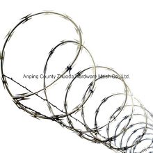China Hot Sale Good Price Razor Barbed Wire Fence at Amazon
